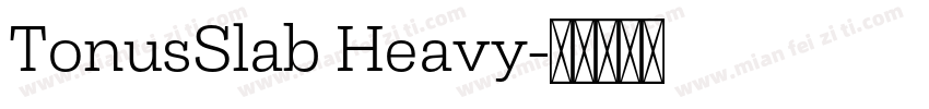 TonusSlab Heavy字体转换